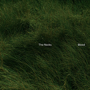 Review of The Necks: Bleed