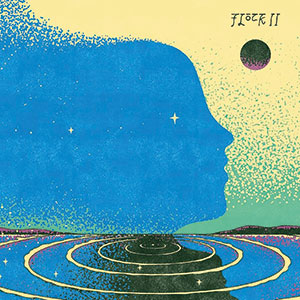 Review of Flock: Flock II