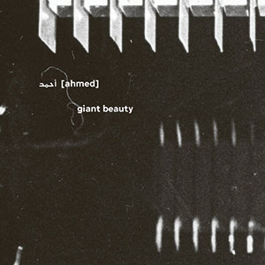 Review of (ahmed): Giant Beauty