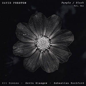 Review of David Preston: Purple/Black Volume 2