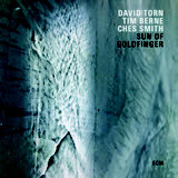 Review of Dave Torn/Tim Berne/Ches Smith: Sun of Goldfinger